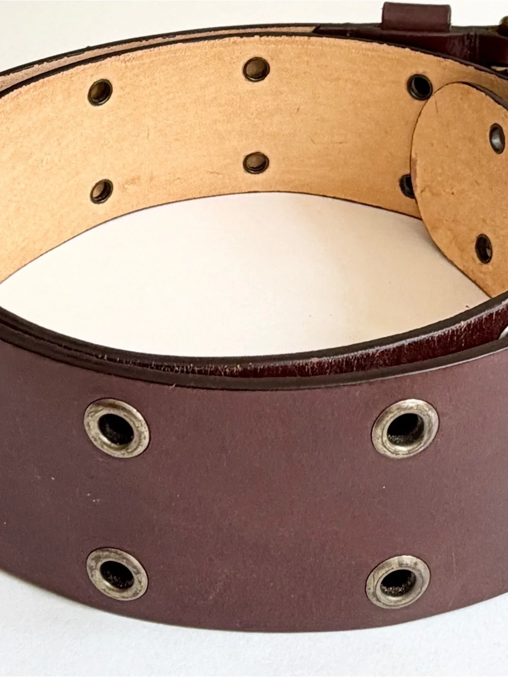 Fossil Dark Brown Belt with Grommets
